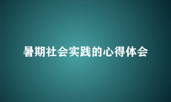 暑期社会实践的心得体会