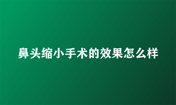 鼻头缩小手术的效果怎么样