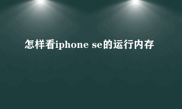 怎样看iphone se的运行内存