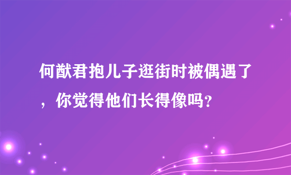 何猷君抱儿子逛街时被偶遇了，你觉得他们长得像吗？