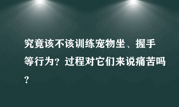 究竟该不该训练宠物坐、握手等行为？过程对它们来说痛苦吗？