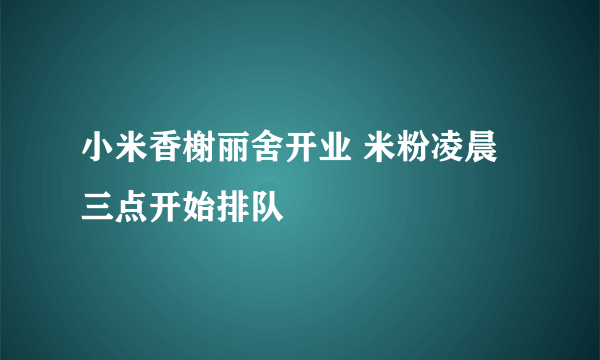 小米香榭丽舍开业 米粉凌晨三点开始排队