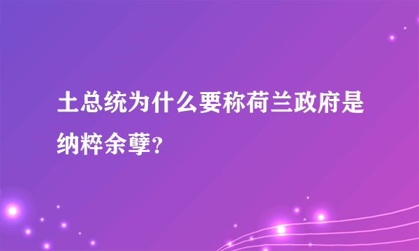 土总统为什么要称荷兰政府是纳粹余孽？