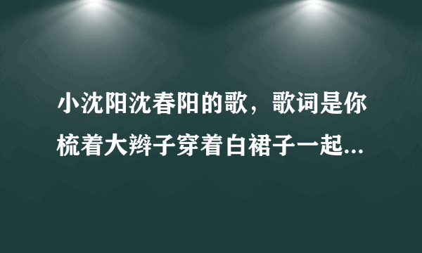 小沈阳沈春阳的歌，歌词是你梳着大辫子穿着白裙子一起攒钱买房子，是什么歌？