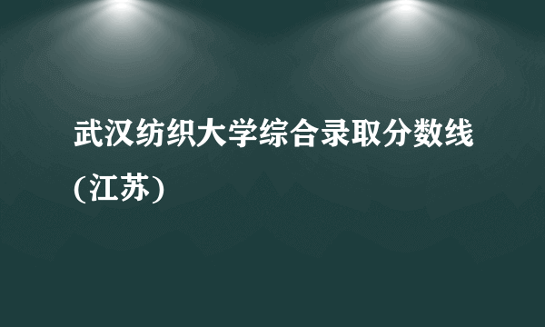 武汉纺织大学综合录取分数线(江苏)