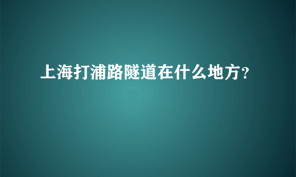 上海打浦路隧道在什么地方？