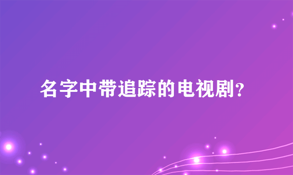 名字中带追踪的电视剧？