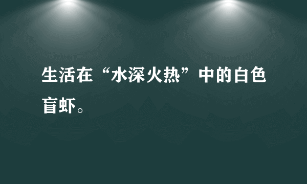 生活在“水深火热”中的白色盲虾。