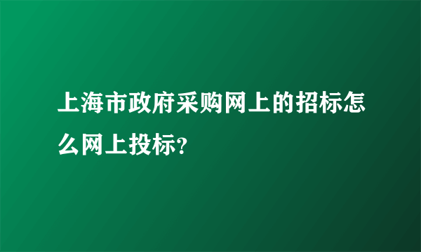 上海市政府采购网上的招标怎么网上投标？