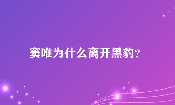 窦唯为什么离开黑豹？