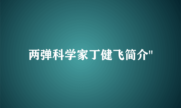 两弹科学家丁健飞简介