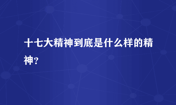 十七大精神到底是什么样的精神？