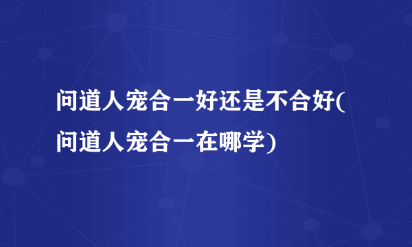 问道人宠合一好还是不合好(问道人宠合一在哪学)