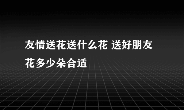 友情送花送什么花 送好朋友花多少朵合适