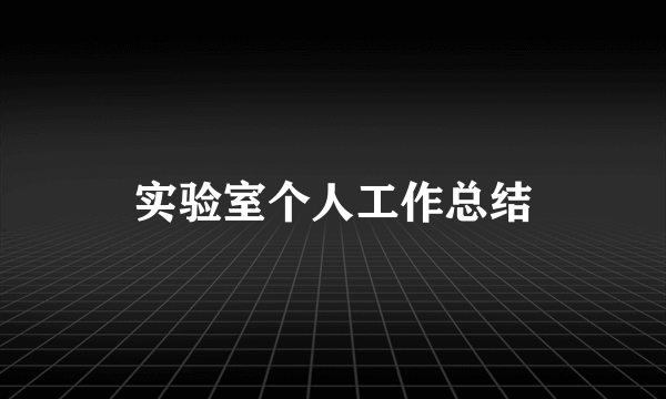 实验室个人工作总结