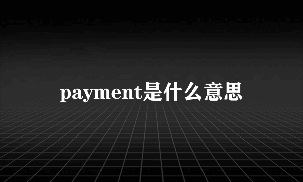 payment是什么意思