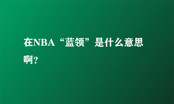 在NBA“蓝领”是什么意思啊？