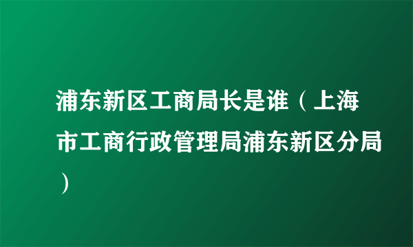 浦东新区工商局长是谁（上海市工商行政管理局浦东新区分局）