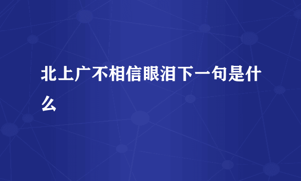 北上广不相信眼泪下一句是什么