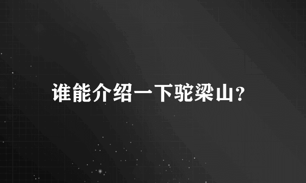 谁能介绍一下驼梁山？