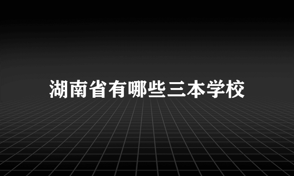 湖南省有哪些三本学校