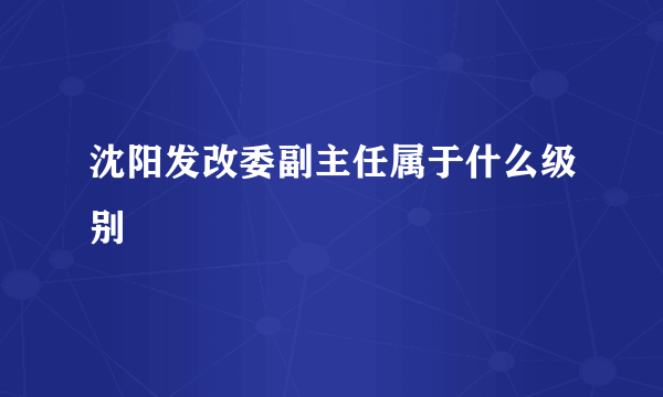 沈阳发改委副主任属于什么级别