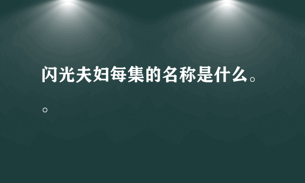 闪光夫妇每集的名称是什么。。