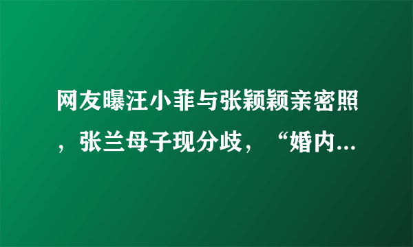 网友曝汪小菲与张颖颖亲密照，张兰母子现分歧，“婚内情”的事情实锤了吗？