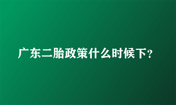 广东二胎政策什么时候下？