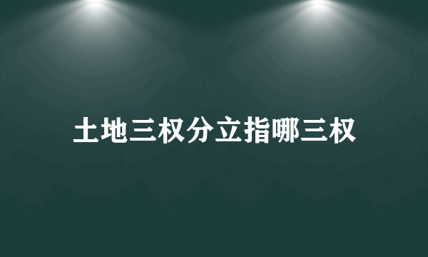 土地三权分立指哪三权