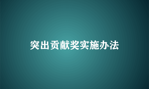 突出贡献奖实施办法