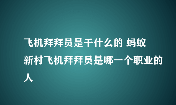 飞机拜拜员是干什么的 蚂蚁新村飞机拜拜员是哪一个职业的人