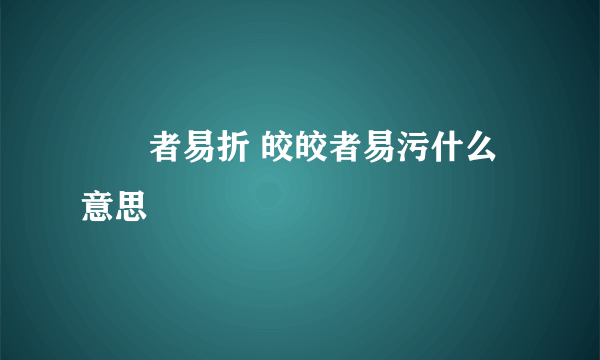 峣峣者易折 皎皎者易污什么意思