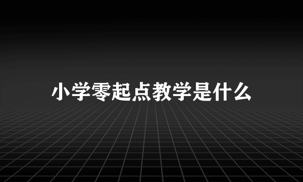 小学零起点教学是什么