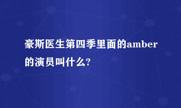 豪斯医生第四季里面的amber的演员叫什么?