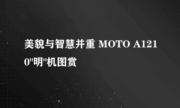 美貌与智慧并重 MOTO A1210