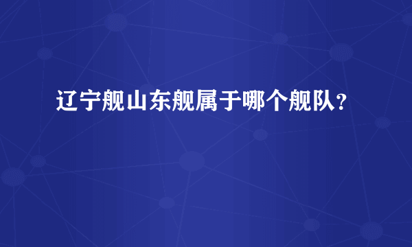 辽宁舰山东舰属于哪个舰队？