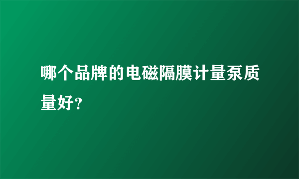 哪个品牌的电磁隔膜计量泵质量好？