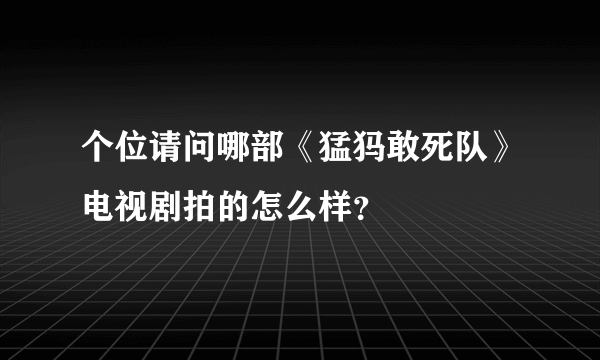 个位请问哪部《猛犸敢死队》电视剧拍的怎么样？