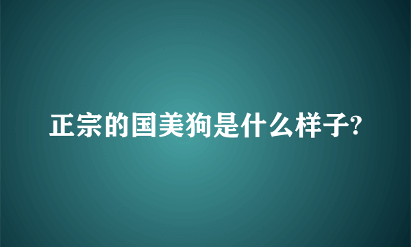 正宗的国美狗是什么样子?