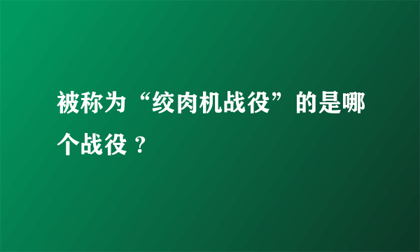 被称为“绞肉机战役”的是哪个战役 ?