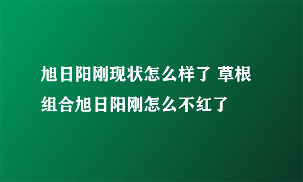 旭日阳刚现状怎么样了 草根组合旭日阳刚怎么不红了