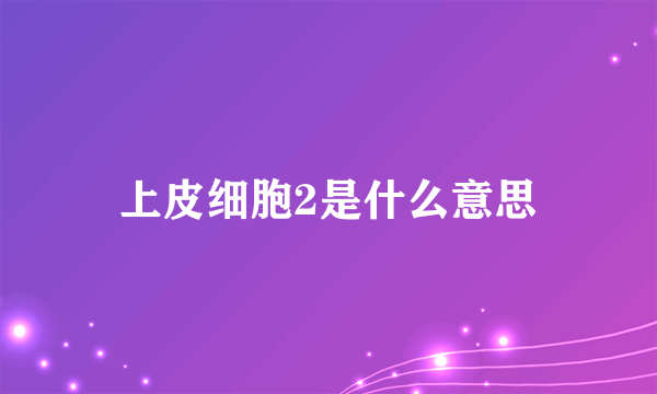 上皮细胞2是什么意思