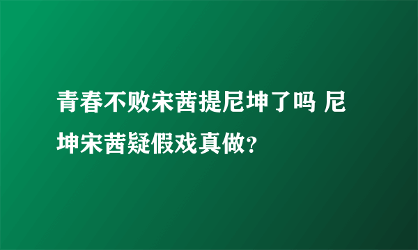 青春不败宋茜提尼坤了吗 尼坤宋茜疑假戏真做？