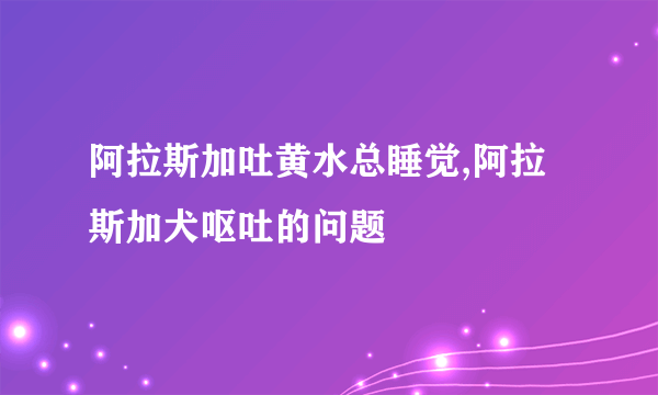 阿拉斯加吐黄水总睡觉,阿拉斯加犬呕吐的问题