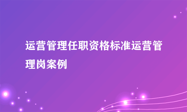 运营管理任职资格标准运营管理岗案例