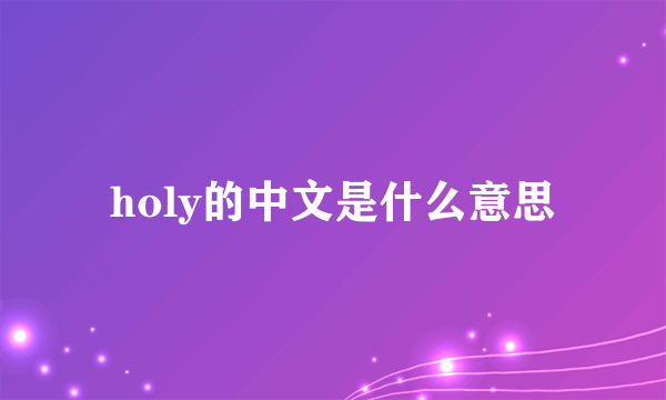 holy的中文是什么意思