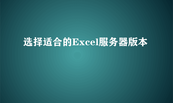 选择适合的Excel服务器版本