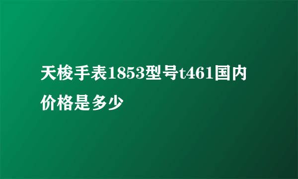 天梭手表1853型号t461国内价格是多少