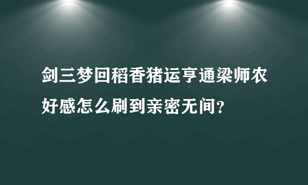 剑三梦回稻香猪运亨通梁师农好感怎么刷到亲密无间？